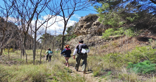 Imagen Actividades VILLAFRANCA DE EBRO