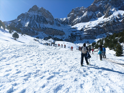 Imagen Salida con Raquetas de Nieve